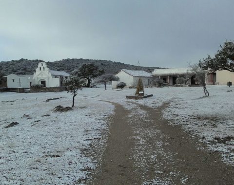 cruz de caña (3)